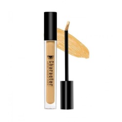 Full Coverage HD Concealer PIC004 - Character