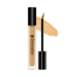 Full Coverage HD Concealer PIC006 - Character