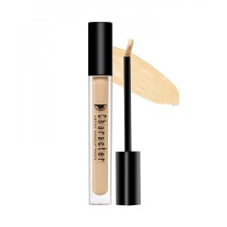 Full Coverage HD Concealer PIC002 - Character