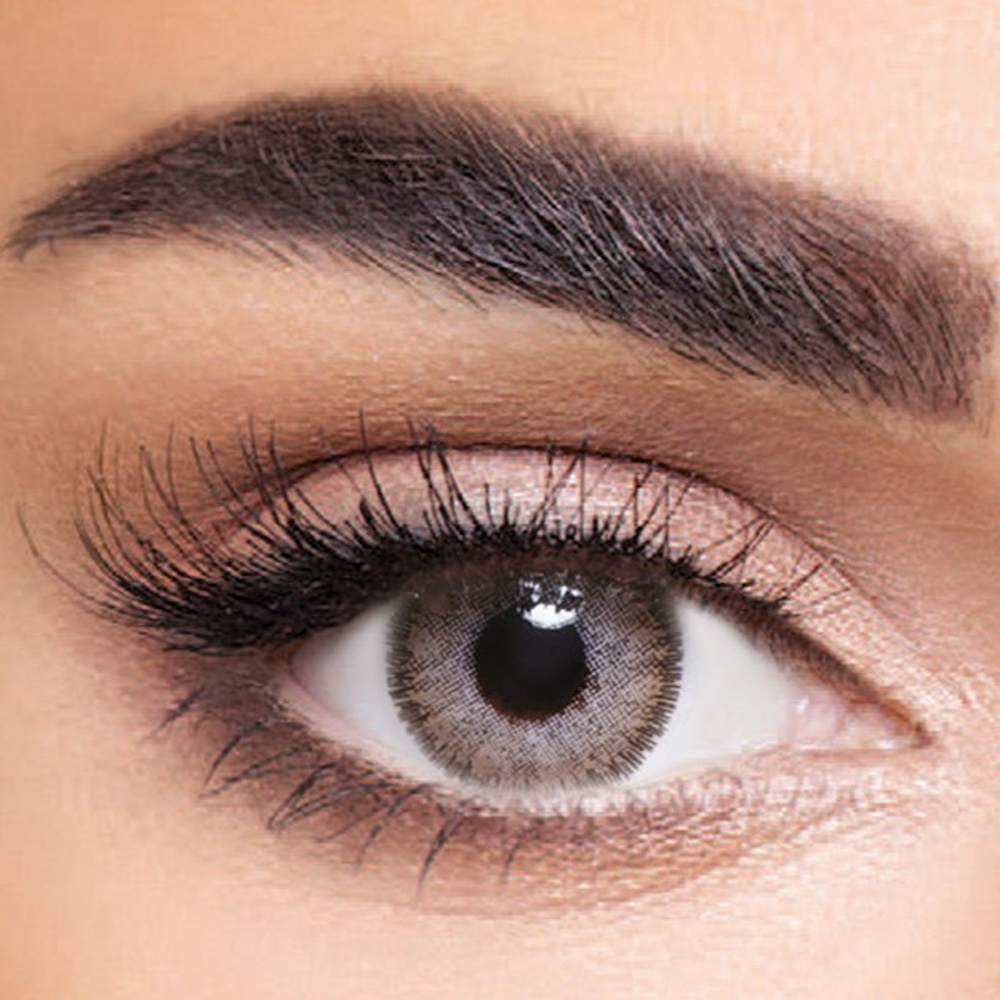 أنستيزيا عدسات برونز بلينو