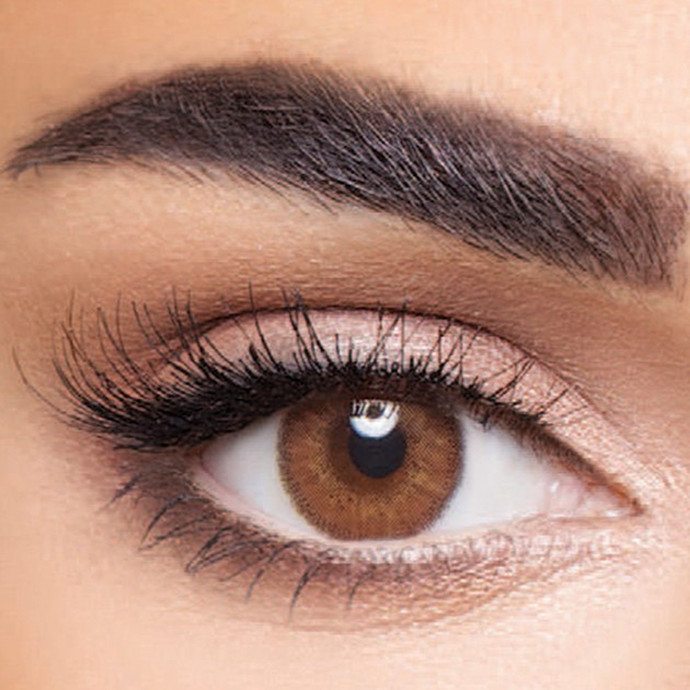 انستازيا ادكت مارون