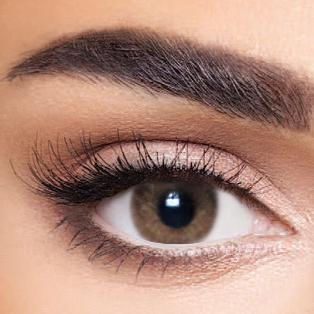 انستازيا انيستاتيك تان