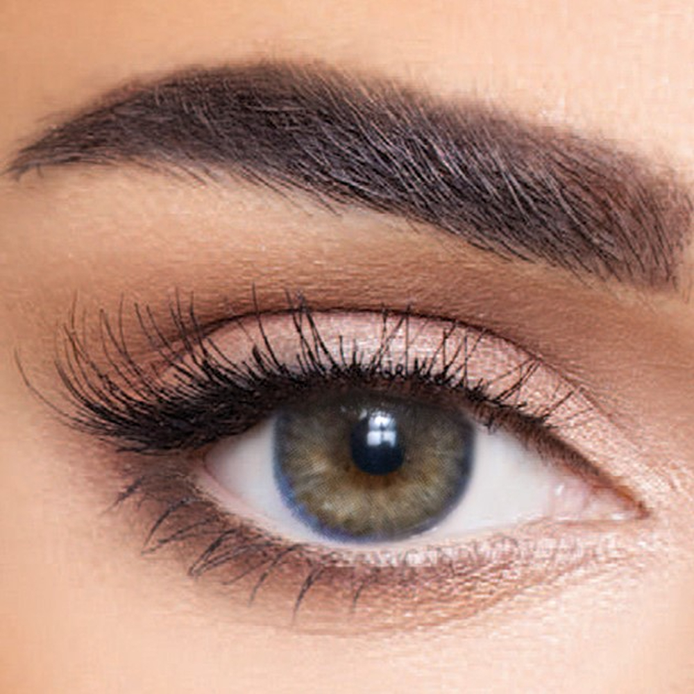 انستازيا ادكت ايوليت